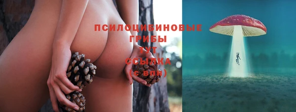дурь Алексеевка