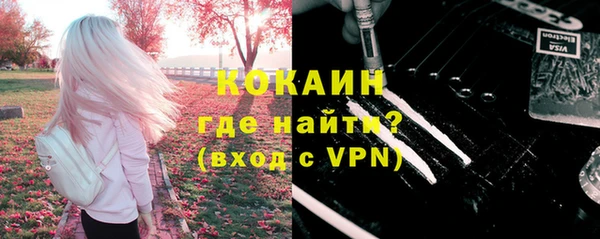 кокс Алексин